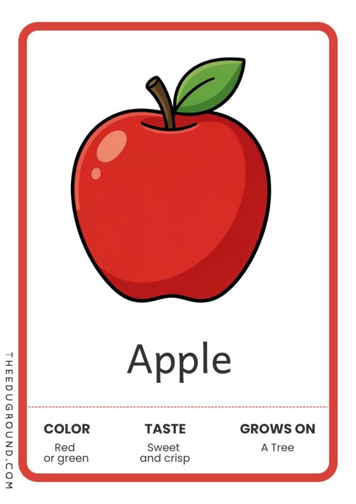 Apple- Fruit Flashcards
