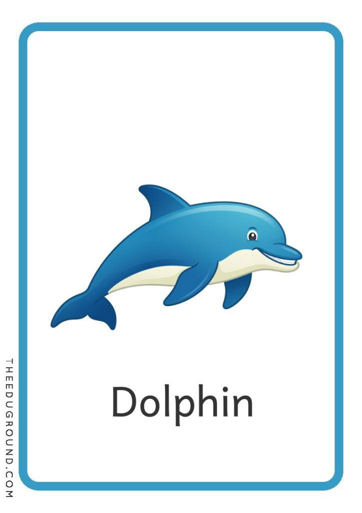 Download Animals flashcards