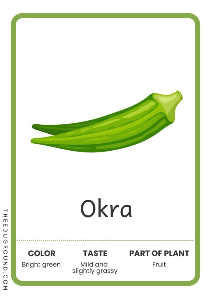 Okra - Vegetable Flashcards