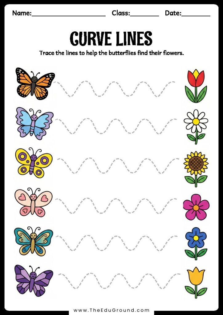 Trace the lines to help the butterflies find their flowers.