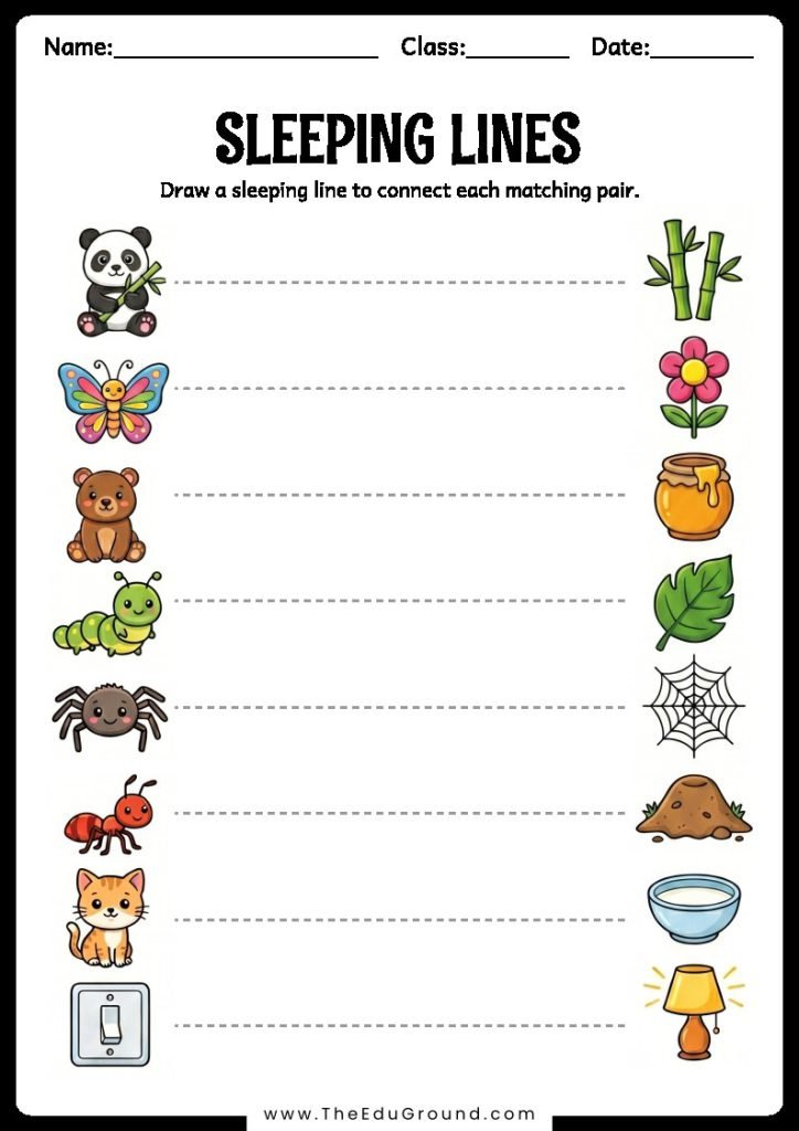 Draw a sleeping line to connect each matching pair.