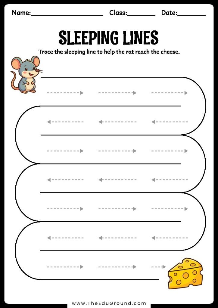 Trace the sleeping line to help the rat reach the cheese.