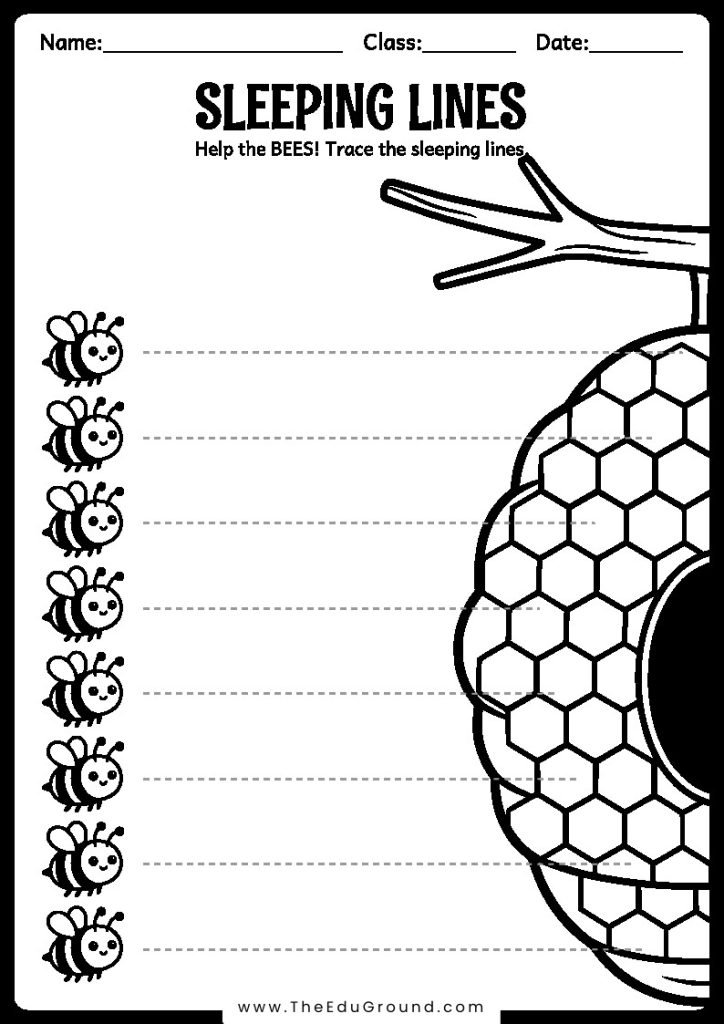 Help the BEES to reach the beehive by tracing the sleeping lines