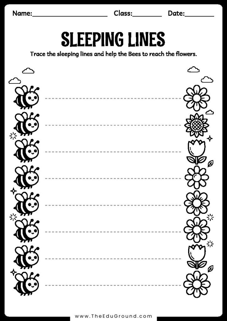 Trace the sleeping lines and help the Bees to reach the flowers